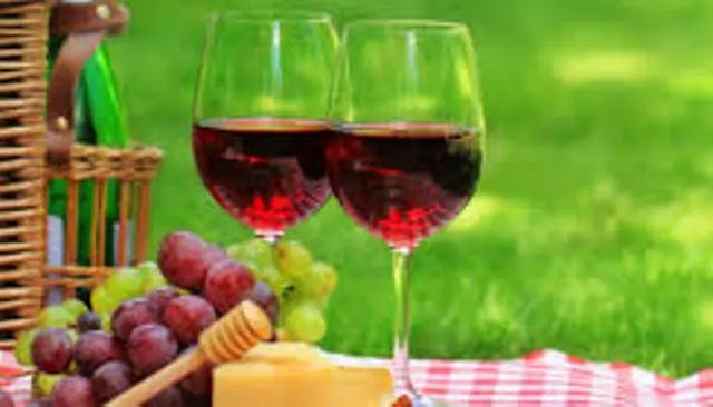   Wine delivery in Nairobi – know the features of e reliable online shop article image