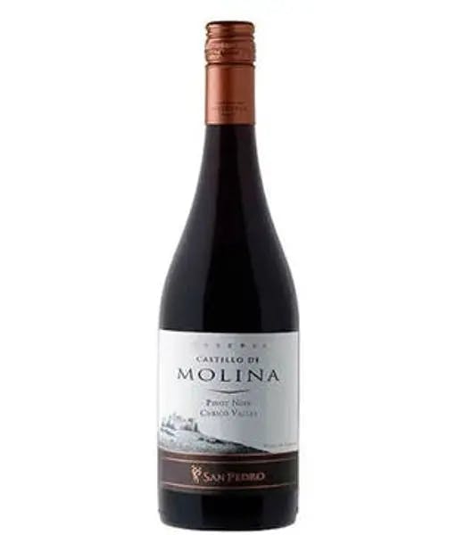 Castillo De Molina Pinot Noir  product image from Drinks Zone