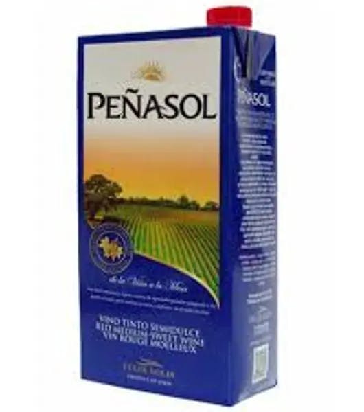 Penasol Red Dry Wine product image from Drinks Zone