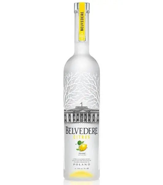 belvedere citrus product image from Drinks Zone
